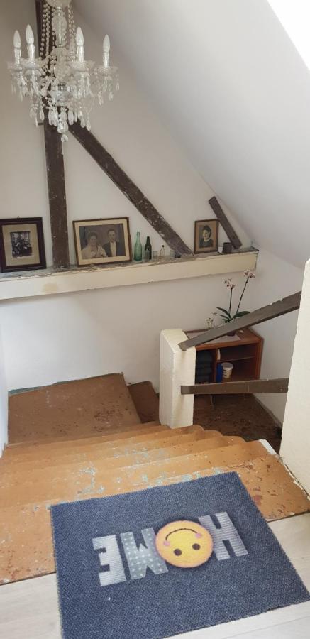 Ferienwohnung Salamander Pirna Extérieur photo