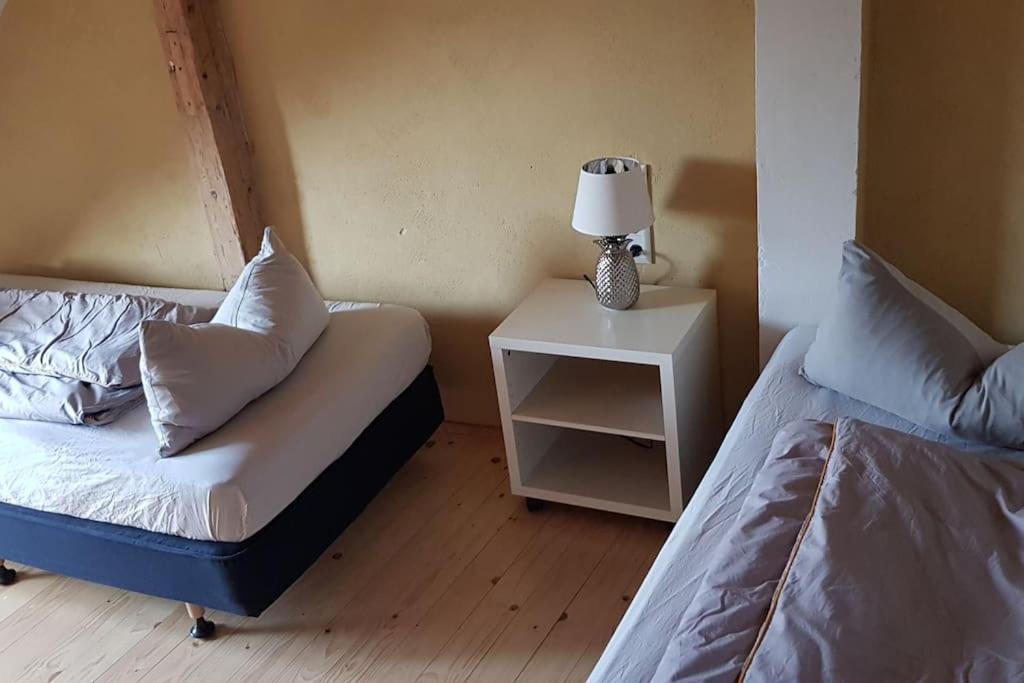 Ferienwohnung Salamander Pirna Extérieur photo